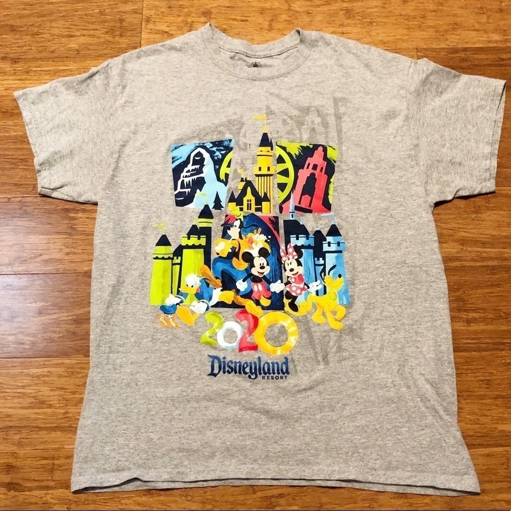 Disneyland Resort 2020 gray short sleeve crew neck t-shirt. Size Women's Large